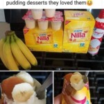 Easy and Irresistible: Walking Banana Pudding Desserts for Kids