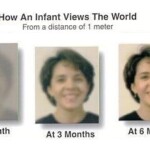 The Remarkable Journey of Vision Development in Babies: From Birth to One Year