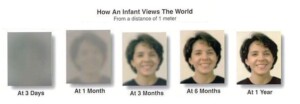 The Remarkable Journey of Vision Development in Babies: From Birth to One Year