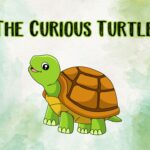 THE MAGICAL ADVENTURE OF TIMMY THE TURTLE – Kids Story