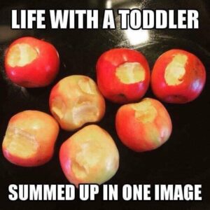 Life with a Toddler: A Tale Told in a Single Image