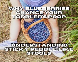 Why Blueberries Change Your Toddler&#8217;s Poop: Understanding Sticky, Pebble-like Stools