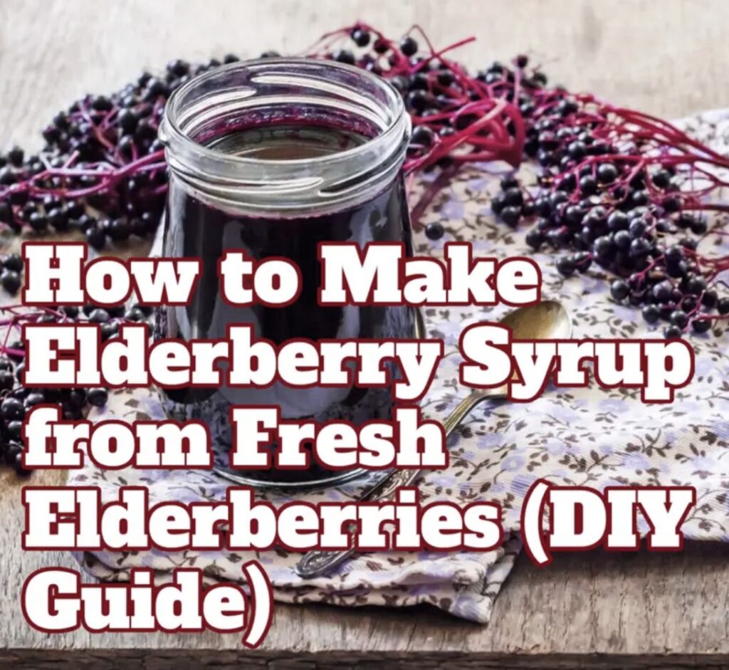 Can Kids Take Elderberry Every Day? What Parents Need to Know